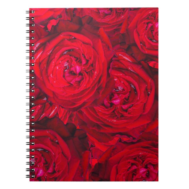 Tiefe rote Rosen Notizblock (Vorderseite)