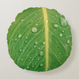 Tiefen auf grüne, grüne Pflanze Rundes Kissen