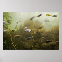 Tiefer Abstieg Poster