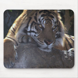 Tiefer Gedanke Mousepad