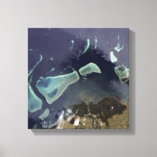 Tiefer grüner Wald an Land Leinwanddruck