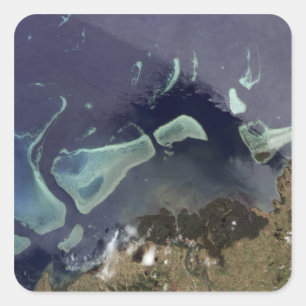 Tiefer grüner Wald an Land Quadratischer Aufkleber