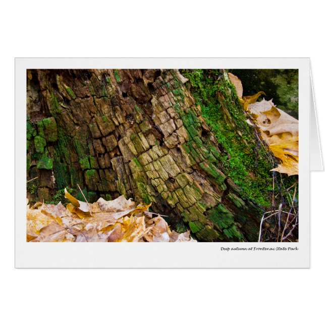 Tiefer Herbst am Frontenac Staats-Park (Vorderseite (Horizontal))