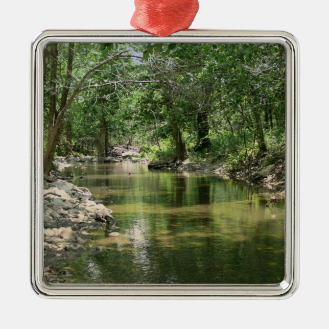 Tiefer Holz-Nebenfluss Silbernes Ornament (Vorne)