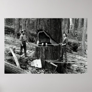 TIEFER WALD LUMBERJACKS c 1890 Poster