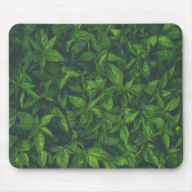 Tiefgrüne Blätter Mousepad (Vorne)
