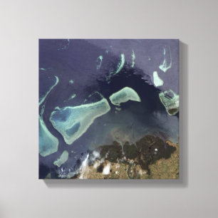 Tiefgrüner Wald auf Land Leinwanddruck