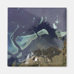 Tiefgrüner Wald auf Land Magnet