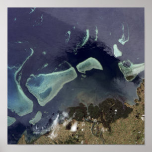 Tiefgrüner Wald auf Land Poster