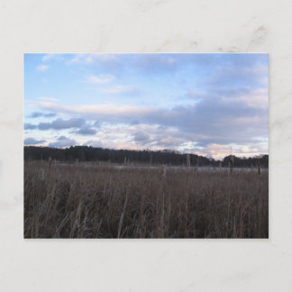 Tiefkühlbecken Postkarte