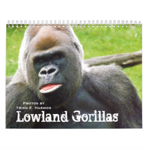 Lustige Gorillas Schul Buroartikel Zazzle At