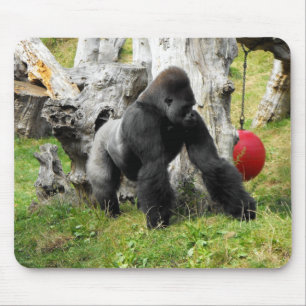 Tiefland Silverback-Gorillagehen Mousepad