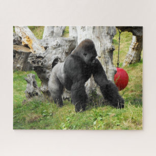 Tiefland Silverbackgorilla Puzzle
