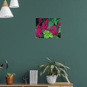 Tiefrosa Astilbe-Blüten Floral Poster