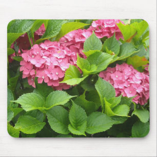 Tiefrosa Hortensien Mousepad