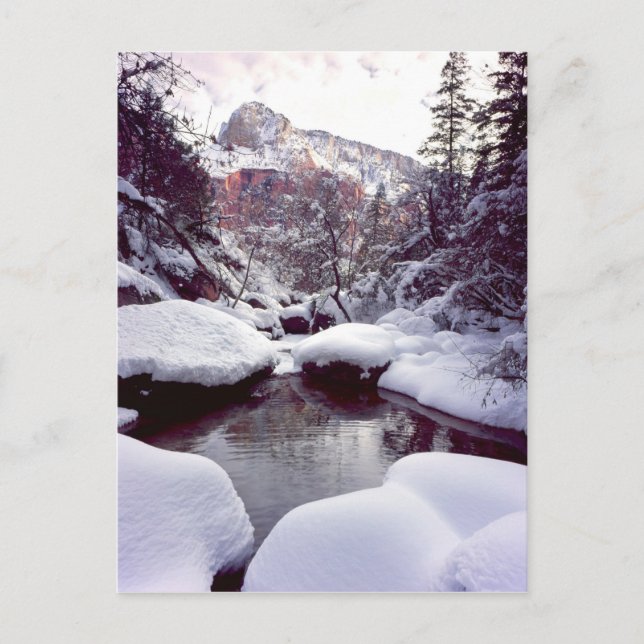 Tiefschnee in den mittleren Smaragdpools Postkarte (Vorderseite)