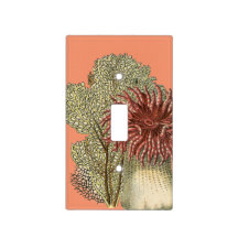 Tiefsee-Koralle mit Seefächern und Anemonen