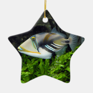 Tiefseefische Keramik Ornament
