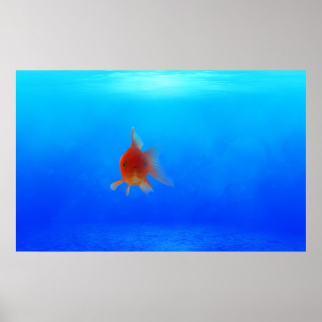 Tiefseegarantie Poster (Vorne)