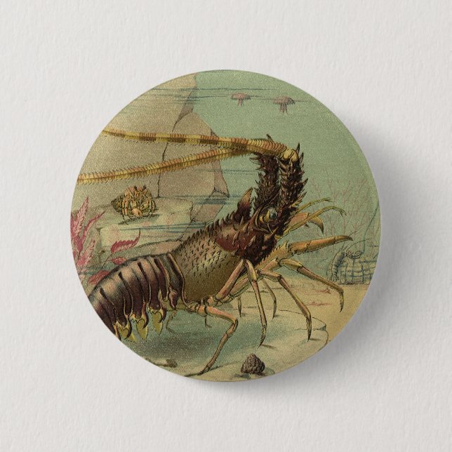 Tiefseegarnelen, Vintage Meerestiere Button (Vorderseite)