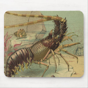 Tiefseegarnelen, Vintage Meerestiere Mousepad