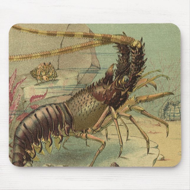 Tiefseegarnelen, Vintage Meerestiere Mousepad (Vorne)