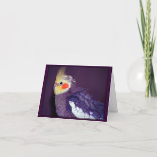 Tiel kundengerechte Karten
