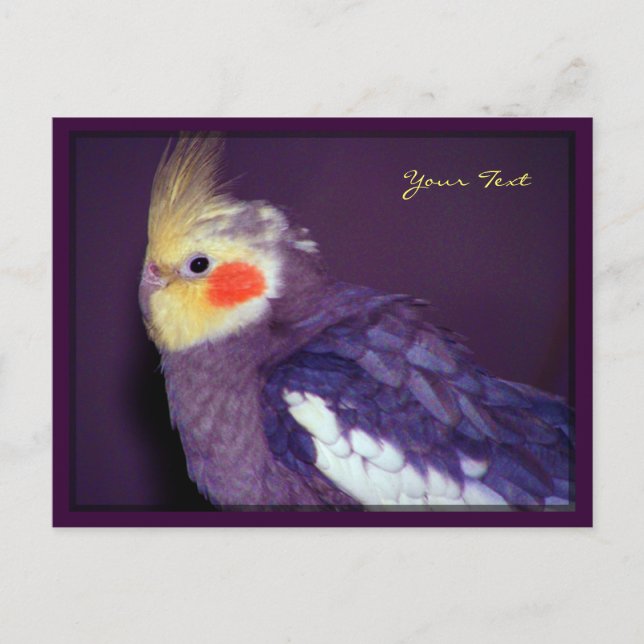 Tiel Postkarten (Vorderseite)