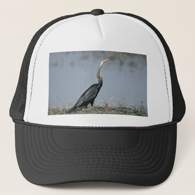 Tier-Anhinga Truckerkappe (Vorderseite)