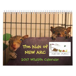 Tier-Baby-Kalender 2017 Kalender