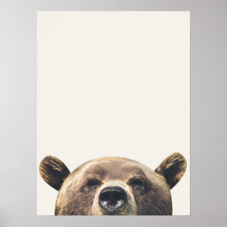 Tier Bär Poster