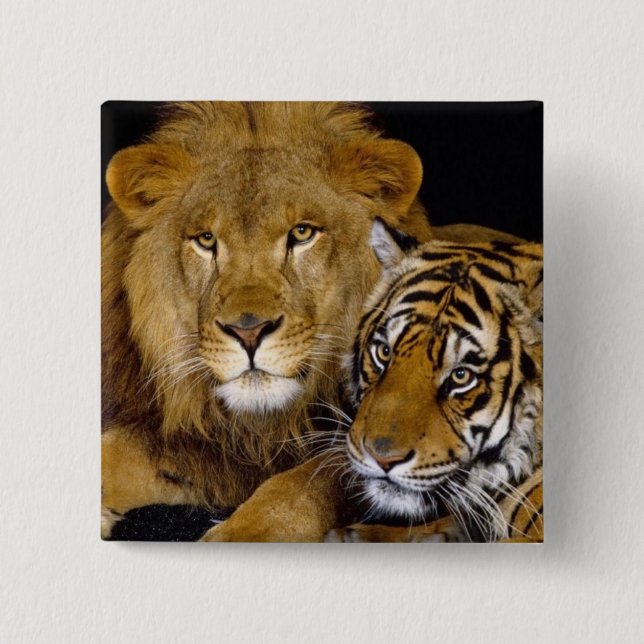 Tier Button (Vorderseite)