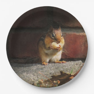 Tier - Chipmunk - Das ist alles meins Pappteller