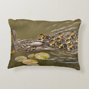 Tier - Ducks - Swim like a duck Dekokissen