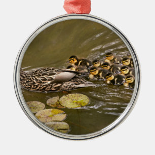 Tier - Ducks - Swim like a duck Ornament Aus Metall