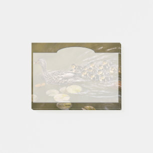 Tier - Ducks - Swim like a duck Post-it Klebezettel