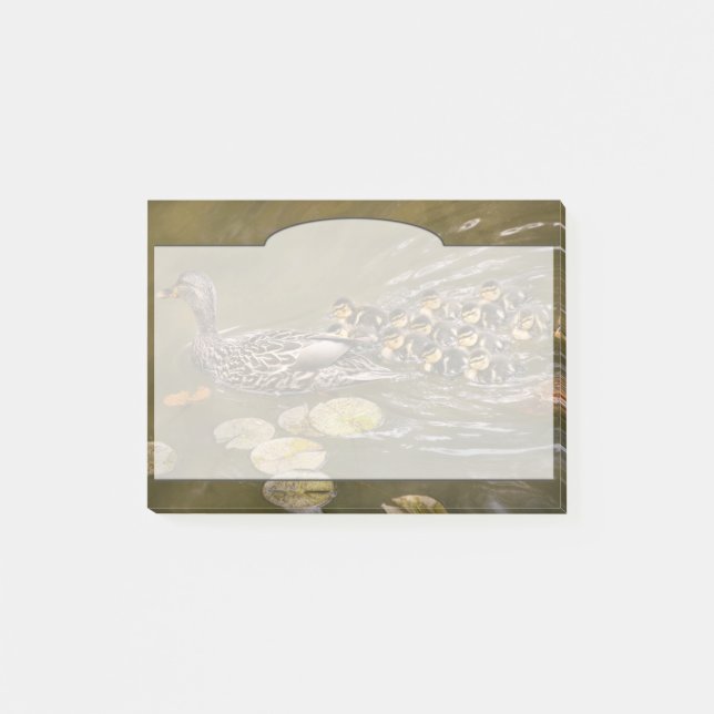 Tier - Ducks - Swim like a duck Post-it Klebezettel (Vorderseite)