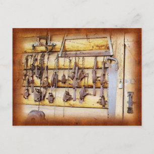 Tier-Fallen in Alaska Postkarte