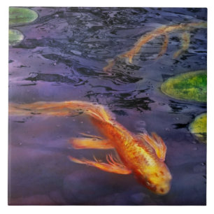 Tier - Fisch - Da ist etwas Besonderes an Koi Fliese