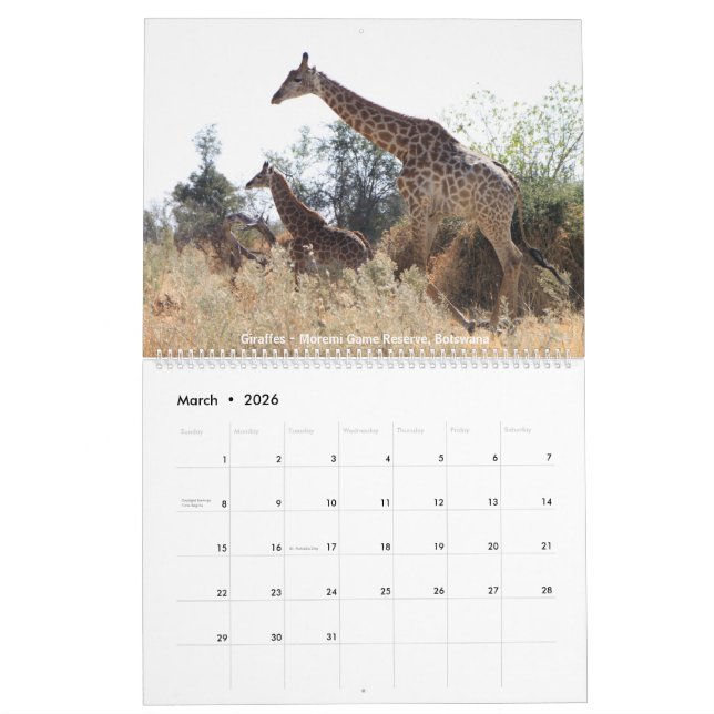 Tier-Foto-Kalender 2018 Kalender (Mär 2026)