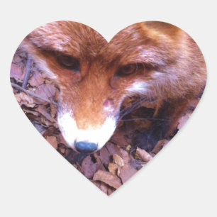 Tier Fuchs Wald Büro Party Dusche Digitale Kunst Herz-Aufkleber