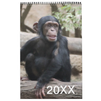 Tier-Kalender 20XX Kalender