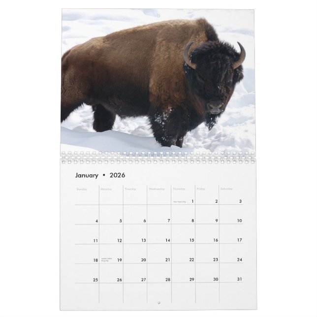 Tier-Kalender Kalender (Jan 2026)