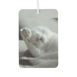 Tier, Katze, Feline Autolufterfrischer