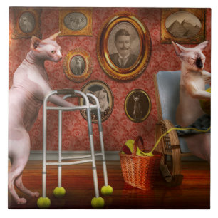 Tier - Katze - Zuhause für die Ruhestandsregelung  Fliese