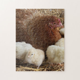Tier, Küken, Huhn, Bauernhof, süß, Vogel, Baby, Puzzle
