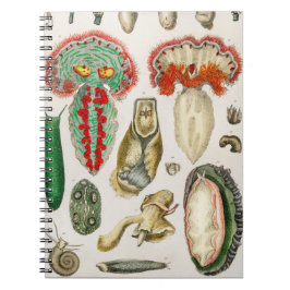 Tier mit Tentacles Illustration Notizblock