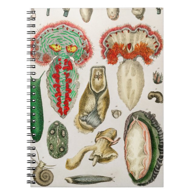 Tier mit Tentacles Illustration Notizblock (Vorderseite)