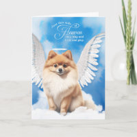 Tier-Mitleid Verlust Hund Sable Pomeranian Engel