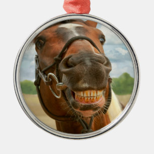 Tier - Pferd - Ich habe endlich meine Zahnspange l Ornament Aus Metall